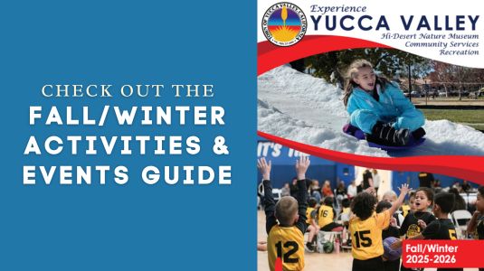 2025 fall/winter guide